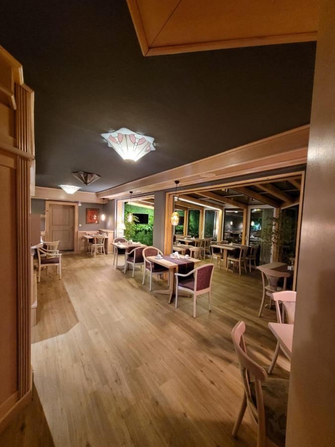 Ambiente Hotel Garni Plauen Extérieur photo